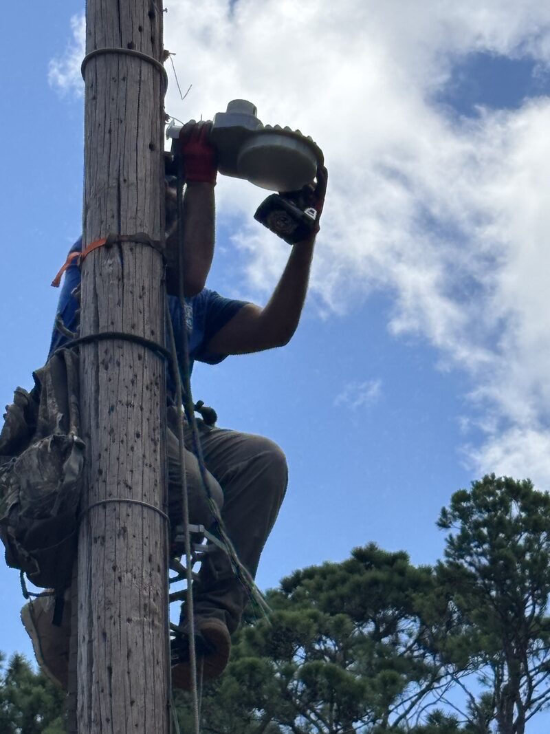 Technician installing a pole-mounted fixture on a utility pole